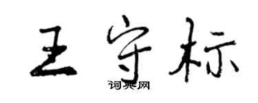 曾庆福王守标行书个性签名怎么写