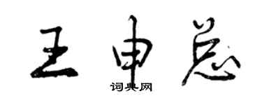 曾庆福王申总行书个性签名怎么写