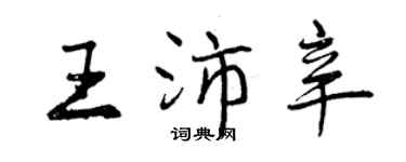 曾庆福王沛辛行书个性签名怎么写
