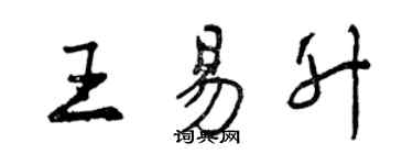 曾庆福王易升行书个性签名怎么写