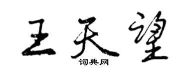 曾庆福王天望行书个性签名怎么写