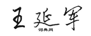 骆恒光王延军行书个性签名怎么写