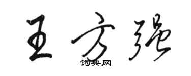 骆恒光王方强行书个性签名怎么写