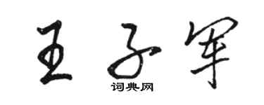 骆恒光王子军行书个性签名怎么写