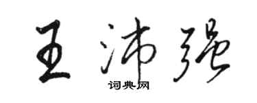 骆恒光王沛强行书个性签名怎么写