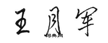 骆恒光王月军行书个性签名怎么写