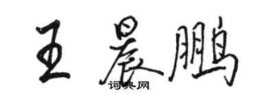 骆恒光王晨鹏行书个性签名怎么写
