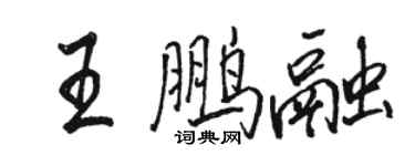 骆恒光王鹏融行书个性签名怎么写
