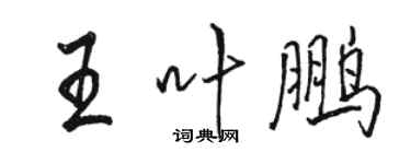 骆恒光王叶鹏行书个性签名怎么写