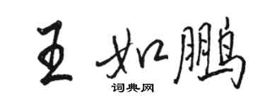 骆恒光王如鹏行书个性签名怎么写
