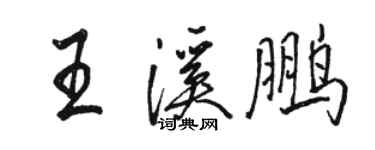 骆恒光王溪鹏行书个性签名怎么写
