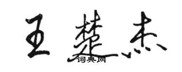 骆恒光王楚杰行书个性签名怎么写