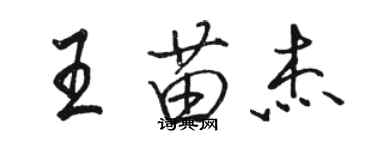骆恒光王苗杰行书个性签名怎么写