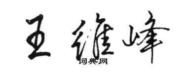 骆恒光王维峰行书个性签名怎么写