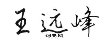 骆恒光王远峰行书个性签名怎么写