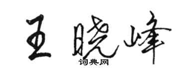 骆恒光王晓峰行书个性签名怎么写