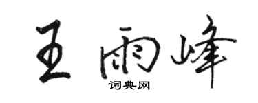骆恒光王雨峰行书个性签名怎么写