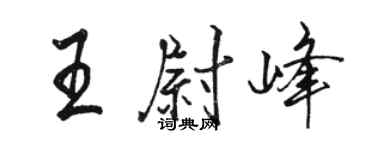骆恒光王尉峰行书个性签名怎么写