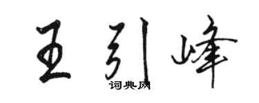 骆恒光王引峰行书个性签名怎么写