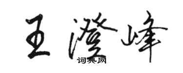 骆恒光王澄峰行书个性签名怎么写