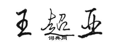 骆恒光王超亚行书个性签名怎么写