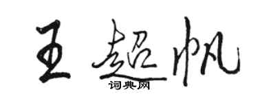 骆恒光王超帆行书个性签名怎么写
