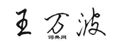 骆恒光王万波行书个性签名怎么写