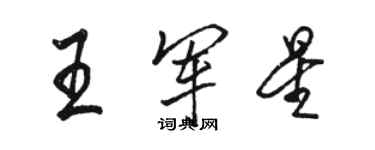 骆恒光王军星行书个性签名怎么写