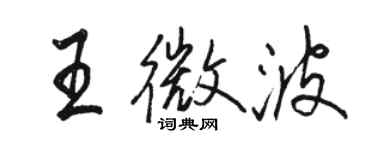 骆恒光王微波行书个性签名怎么写