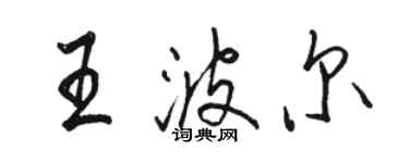 骆恒光王波尔行书个性签名怎么写