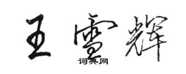 骆恒光王雪辉行书个性签名怎么写