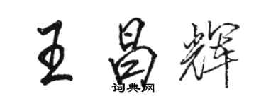 骆恒光王昌辉行书个性签名怎么写