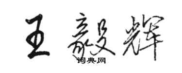 骆恒光王毅辉行书个性签名怎么写
