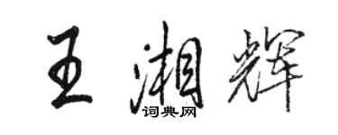 骆恒光王湘辉行书个性签名怎么写