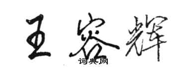 骆恒光王容辉行书个性签名怎么写