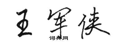 骆恒光王军侠行书个性签名怎么写