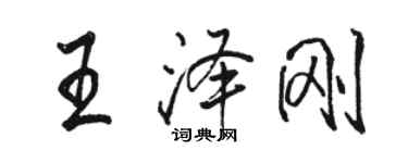 骆恒光王泽刚行书个性签名怎么写
