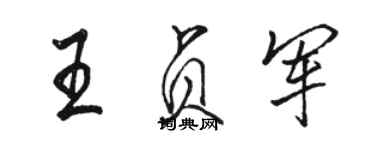 骆恒光王贞军行书个性签名怎么写
