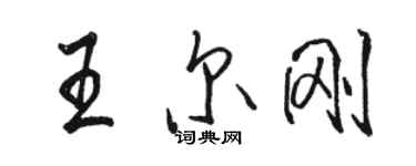 骆恒光王尔刚行书个性签名怎么写
