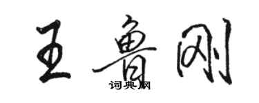 骆恒光王鲁刚行书个性签名怎么写