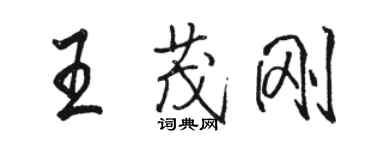 骆恒光王茂刚行书个性签名怎么写