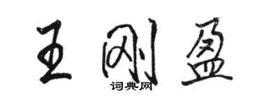 骆恒光王刚盈行书个性签名怎么写