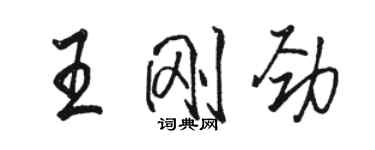骆恒光王刚劲行书个性签名怎么写