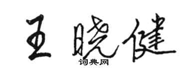 骆恒光王晓健行书个性签名怎么写