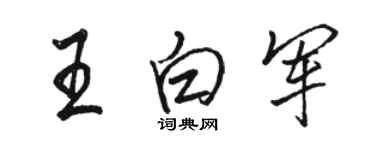 骆恒光王白军行书个性签名怎么写