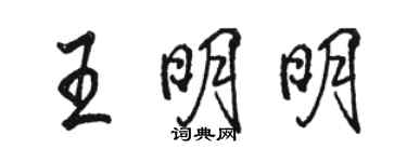 骆恒光王明明行书个性签名怎么写