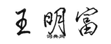 骆恒光王明富行书个性签名怎么写