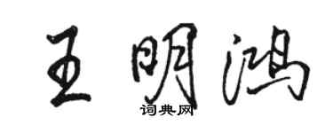 骆恒光王明鸿行书个性签名怎么写