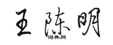 骆恒光王陈明行书个性签名怎么写