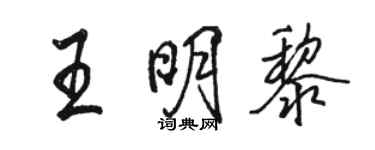 骆恒光王明黎行书个性签名怎么写